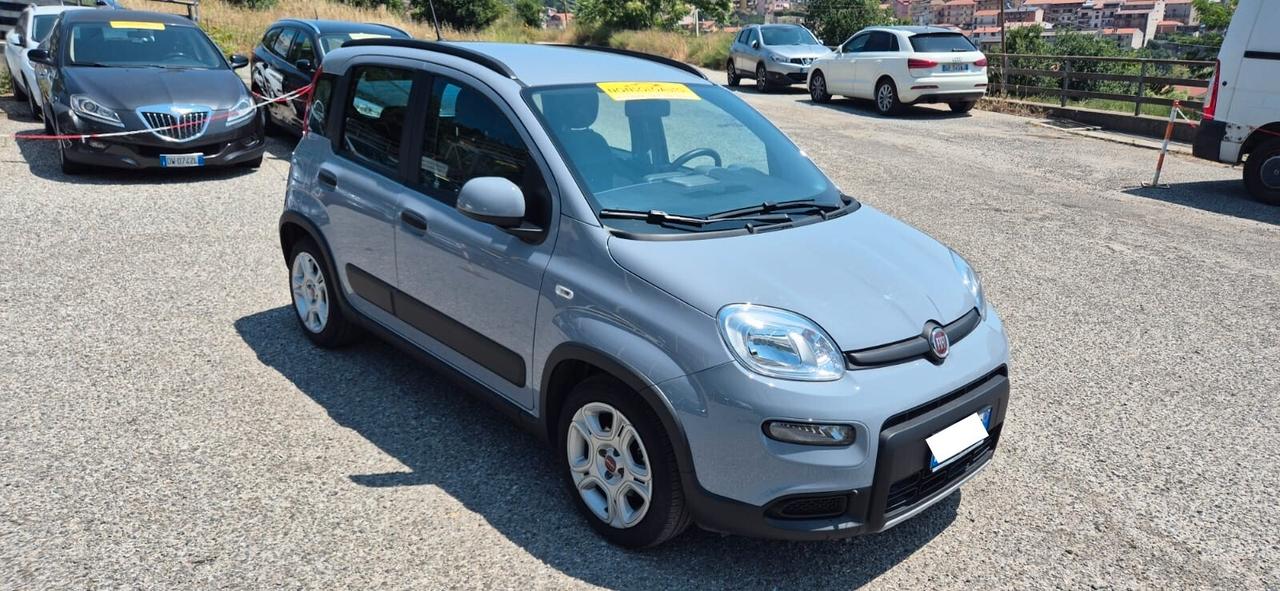 Fiat Panda 1.0 Hybrid City Life - 2023 - km 15000