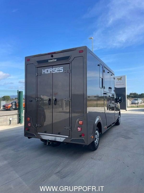 Renault Master AMELINE dCi 165 CV 3 POSTI HARAS
