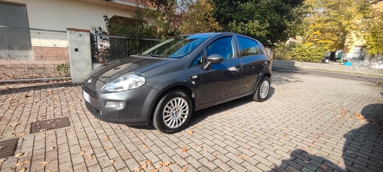 Fiat Punto 1.2 8V 5 porte Street