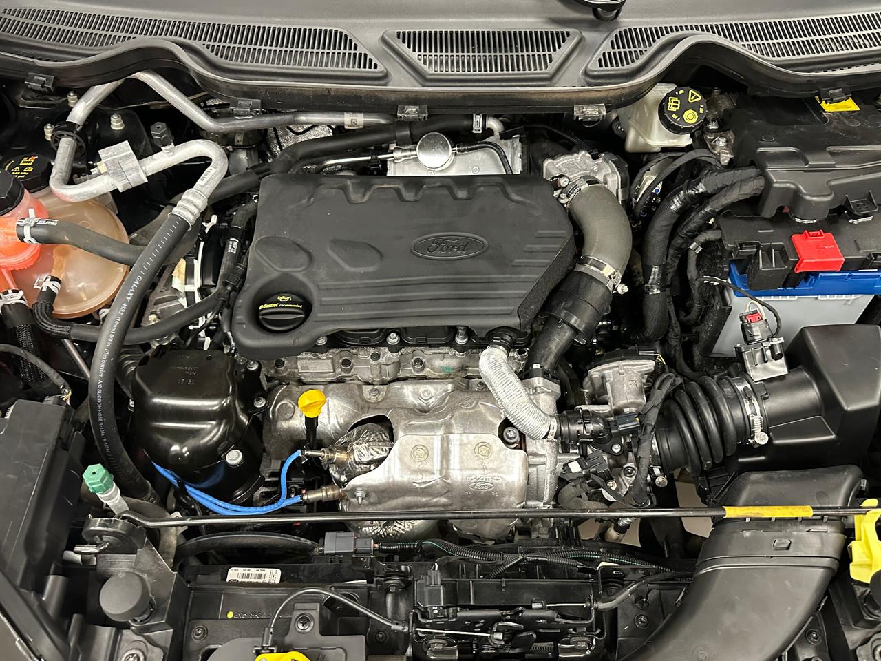 Ford EcoSport 1.5 Ecoblue 95 CV Start&S Titanium - 2021