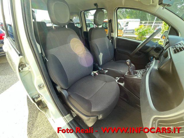 FIAT Panda 1.3 MJT 4x4 Pop Imm Vettura