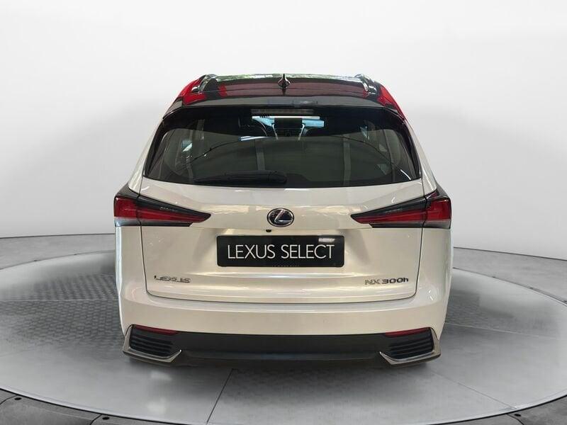 Lexus NX Hybrid 4WD Premium