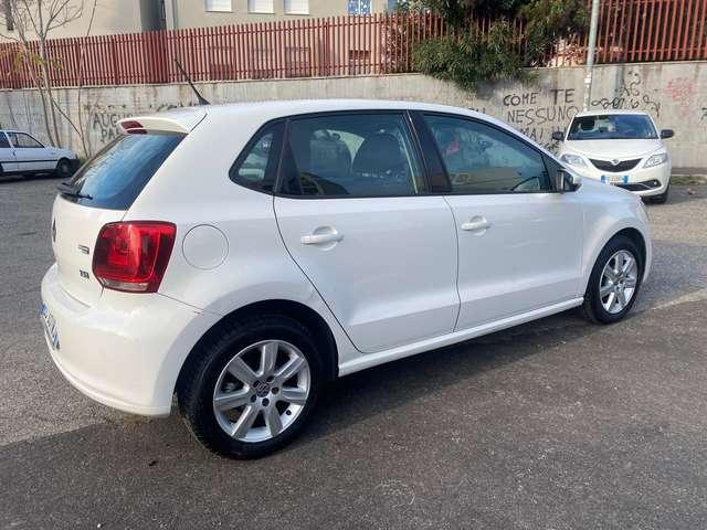 Volkswagen Polo Polo 5p 1.2 tsi Highline 105cv dsg