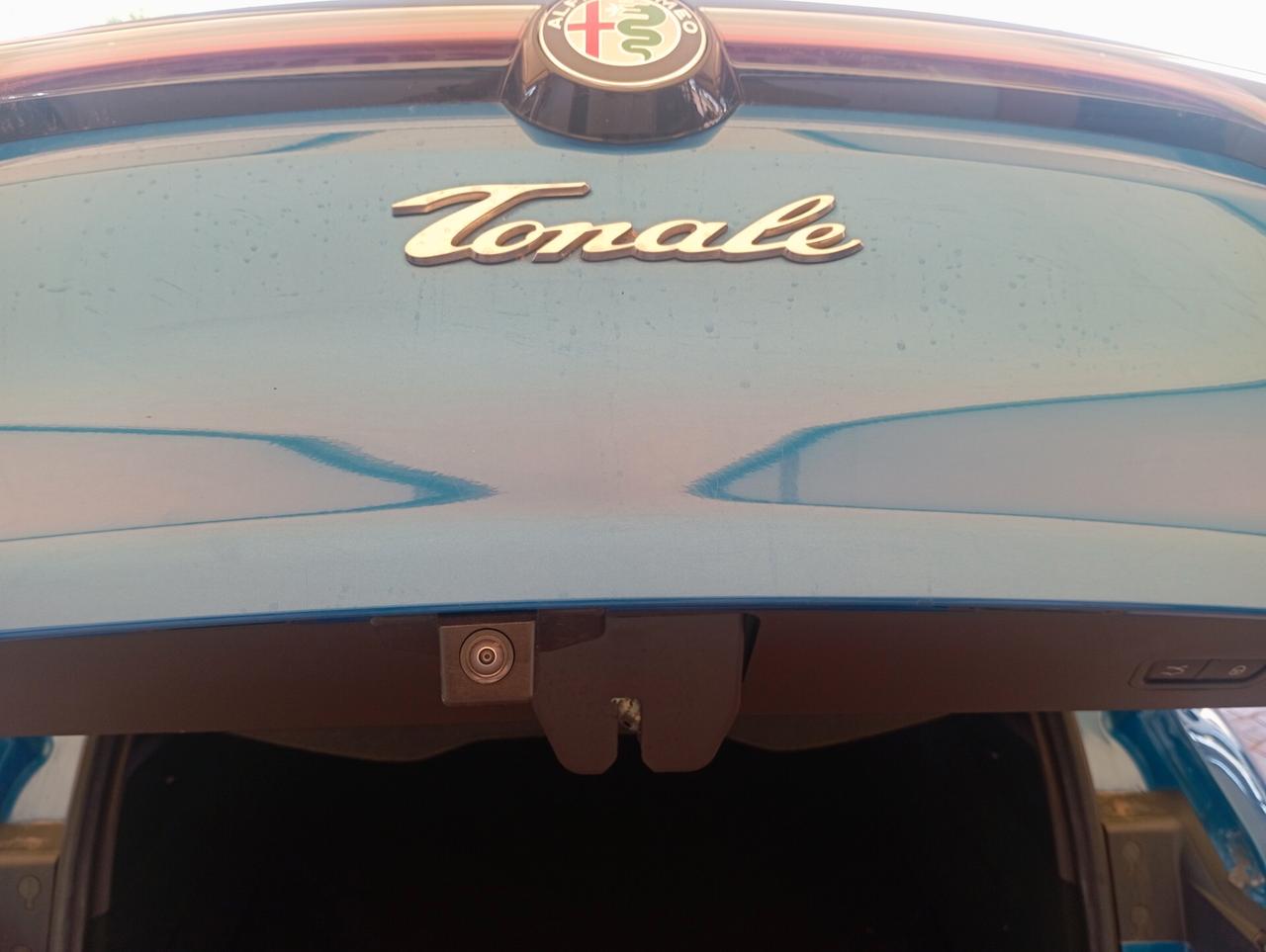 Alfa Romeo Tonale 1.6 diesel 130 CV TCT6 Sprint