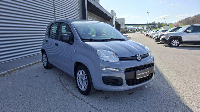 FIAT Panda 1.0 FireFly Hybrid City Life LEGGE 104 IVA ESPOSTA
