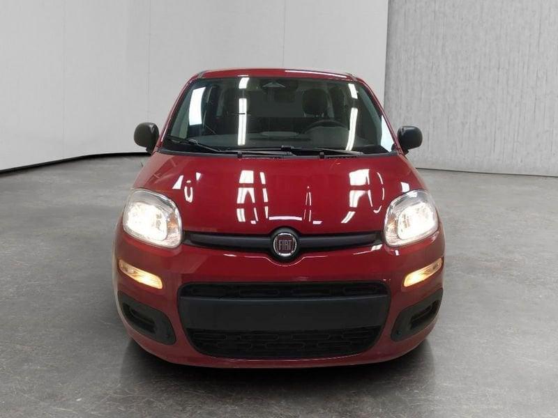 FIAT Pandina 1.0 firefly hybrid Icon s&s 70cv