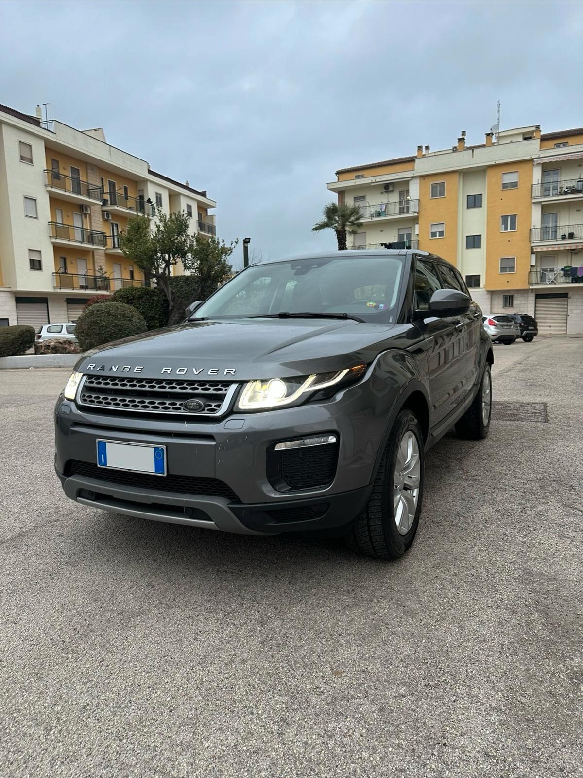 Land Rover Range Rover Evoque Range Rover Evoque 2.0 TD4 150 CV 5p Business Ed. Premium SE