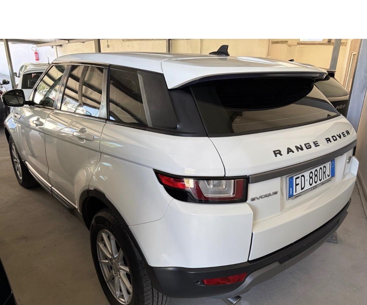 Land Rover Range Evoque 2.0 TD4 150 CV 5p. Business Edition