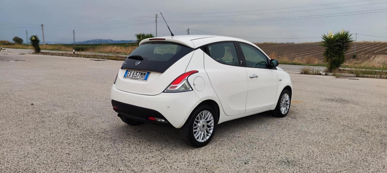 Lancia Ypsilon 1.3 MJT 16V 95 CV 5 porte S&S Platinum