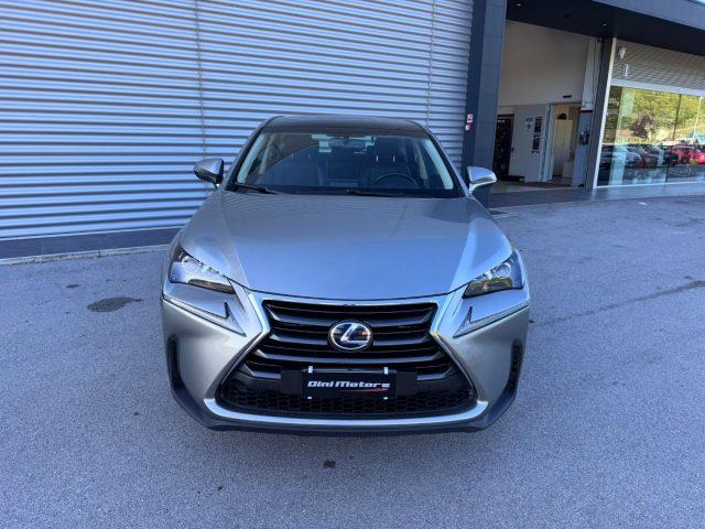 LEXUS NX 300 Hybrid NX300h 4x4 AUTOMATICA AWD 4WD TETTO LED