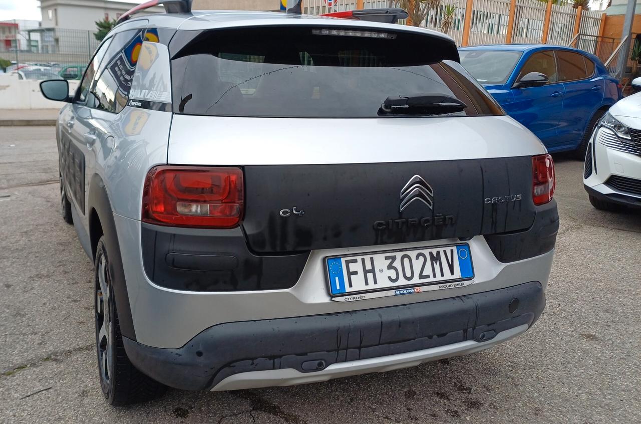 Citroen C4 Cactus BlueHDi 100 Rip Curl