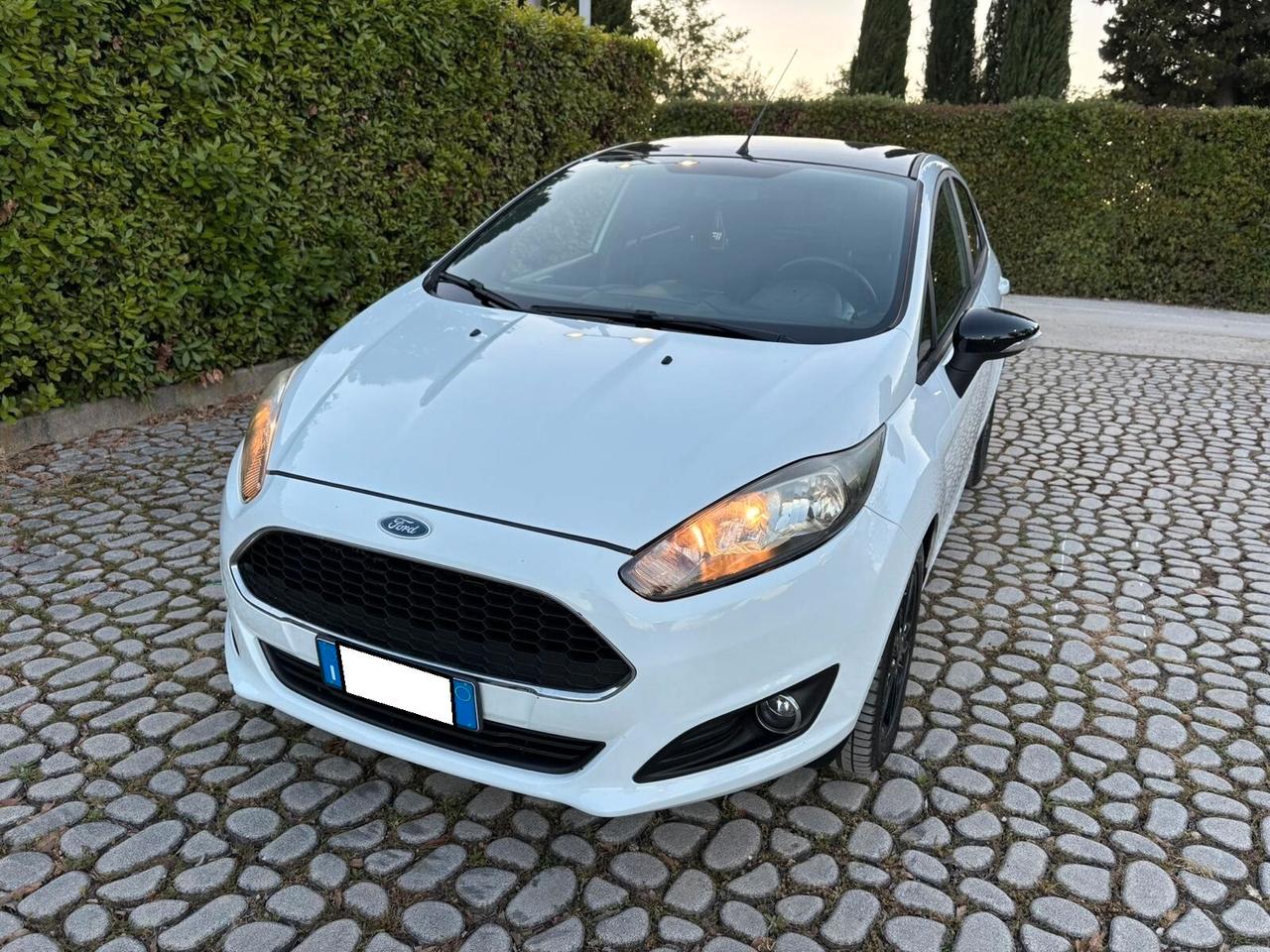 FORD Fiesta 1.5TDCi 75CV 5 porte ST-Line - 2017