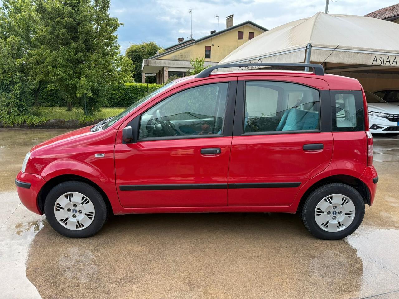 Fiat Panda 1.2 Dynamic clima TAGLIANDATA