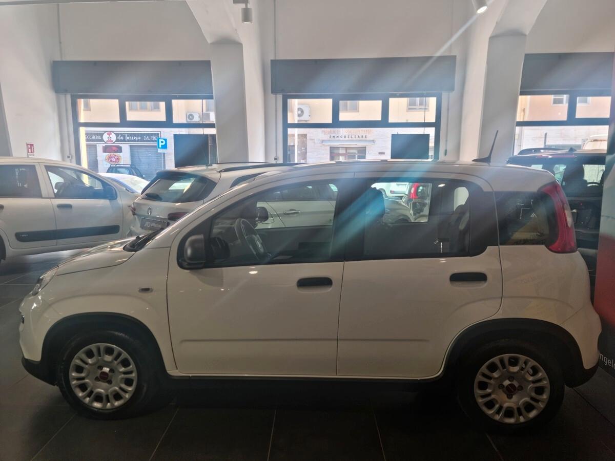 Fiat Panda 1.0 Hybrid 70cv S&S 5 posti AZIENDALE