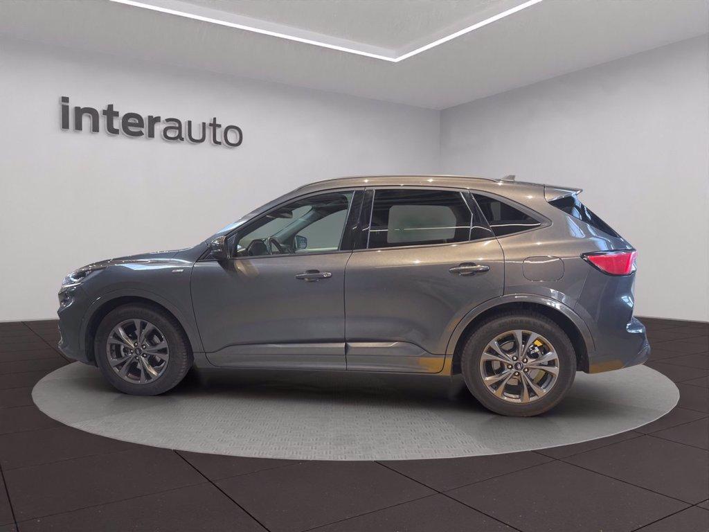 FORD Kuga 1.5 EcoBlue 120 CV aut. 2WD ST-Line X del 2022