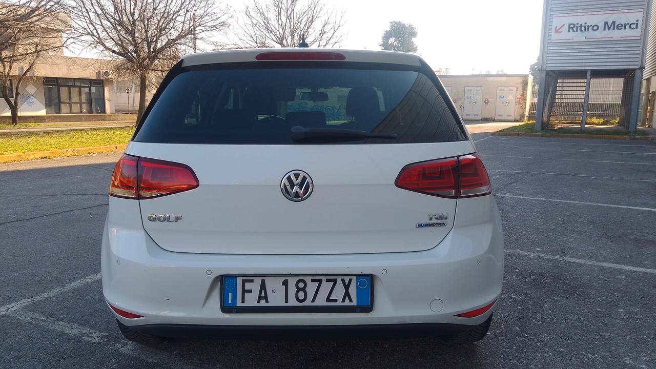 Vw golf VII 1.4 TGI DSG BLUEMOTION 2016 neop metano