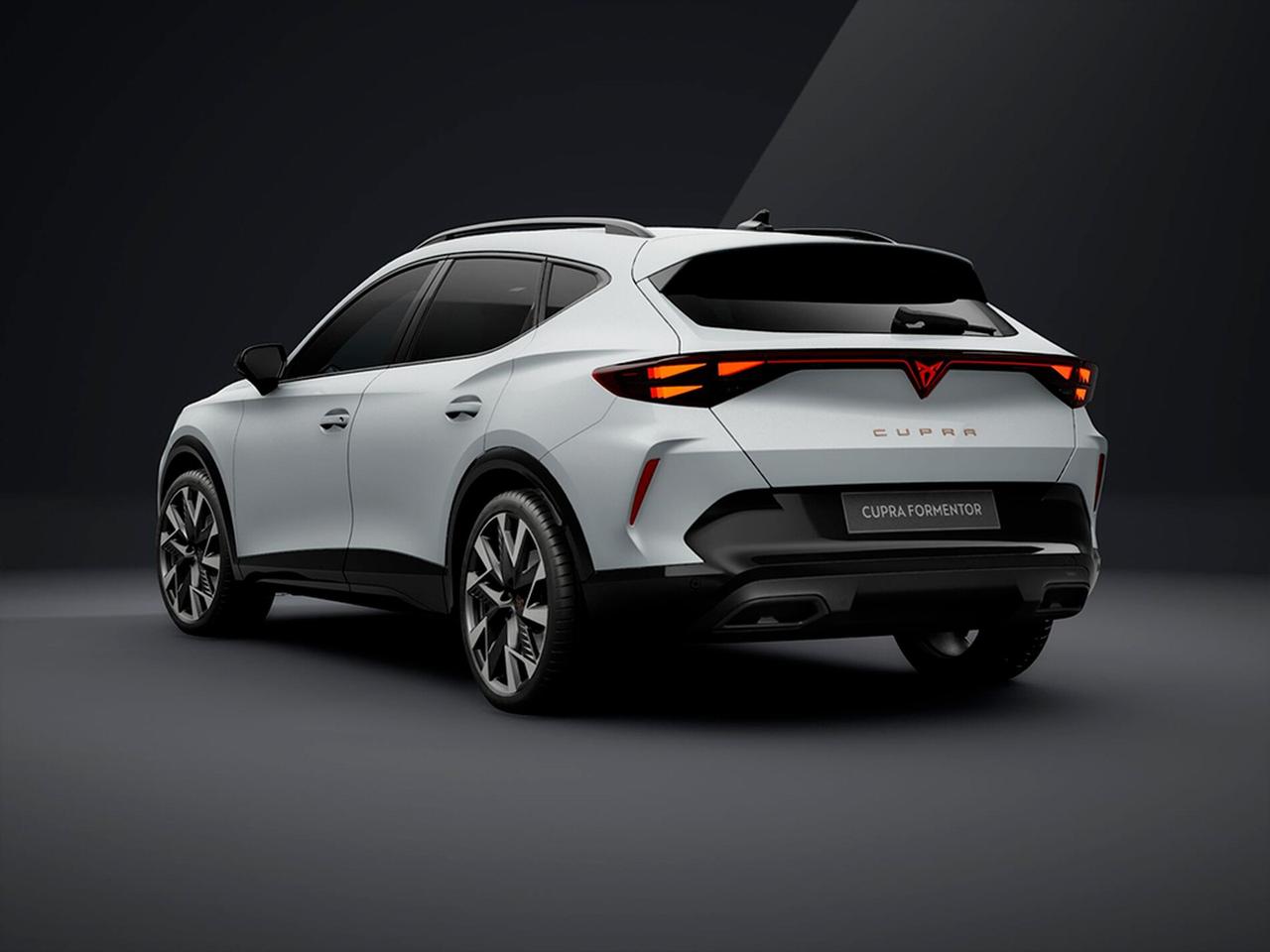 Cupra Formentor 2.0 tdi business 150cv dsg