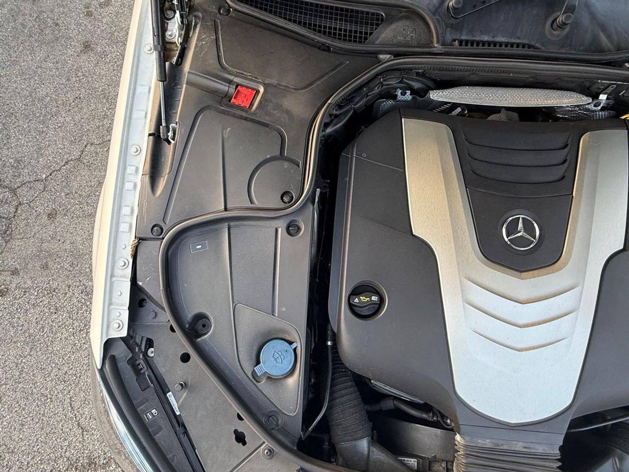 Mercedes-Benz S 350 Maximum S 350 D #8487