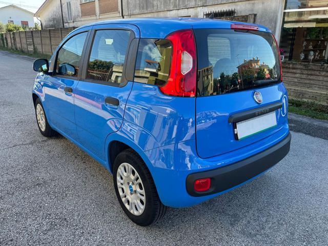 FIAT Panda 1.2 Pandazzurri NEOPATENTATI