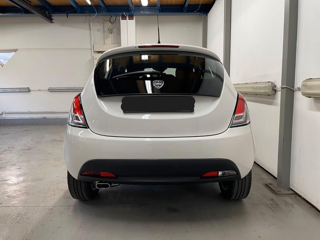 Lancia Ypsilon 1.3 MJT 16V 95 CV 5 porte S&S Elle ok neo patentati