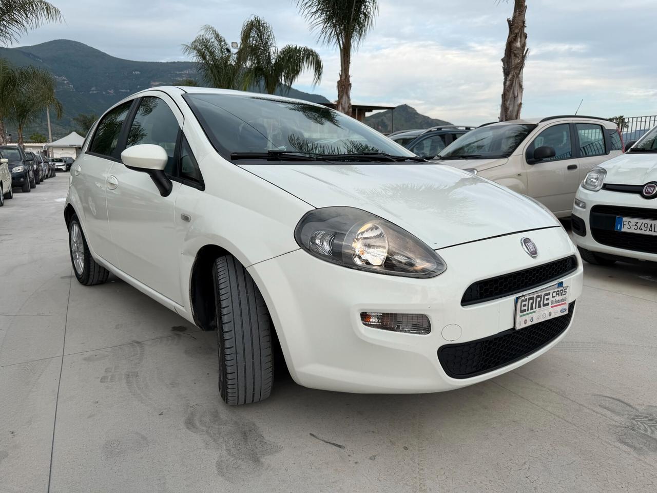 FIAT PUNTO ANNO 2013 1.3 MJT 75 CV