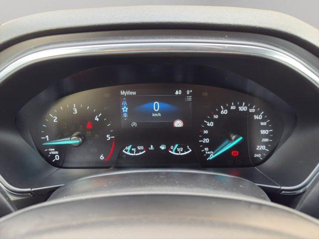 FORD Focus ACTIVE 1.5 EcoBlue 120 CV Business