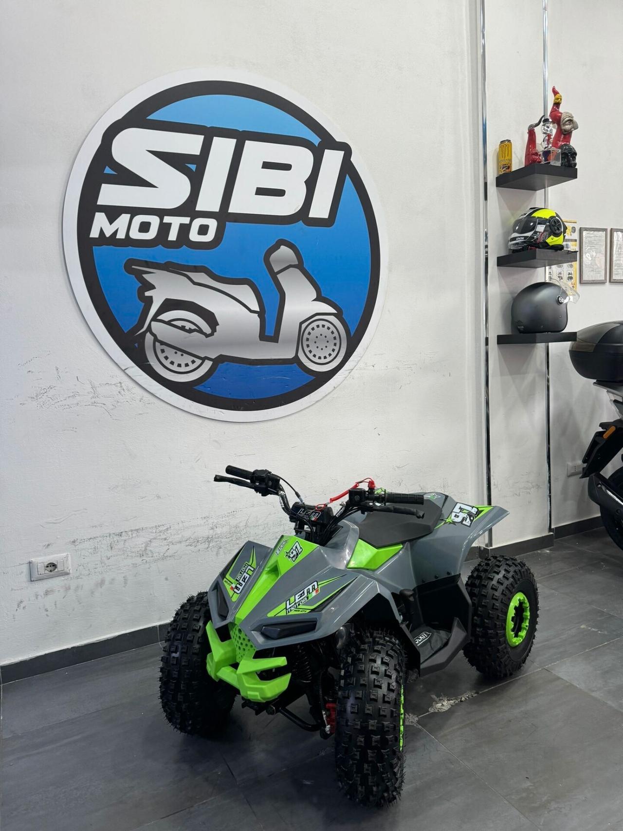 LEM QUAD GRIZZLY 110