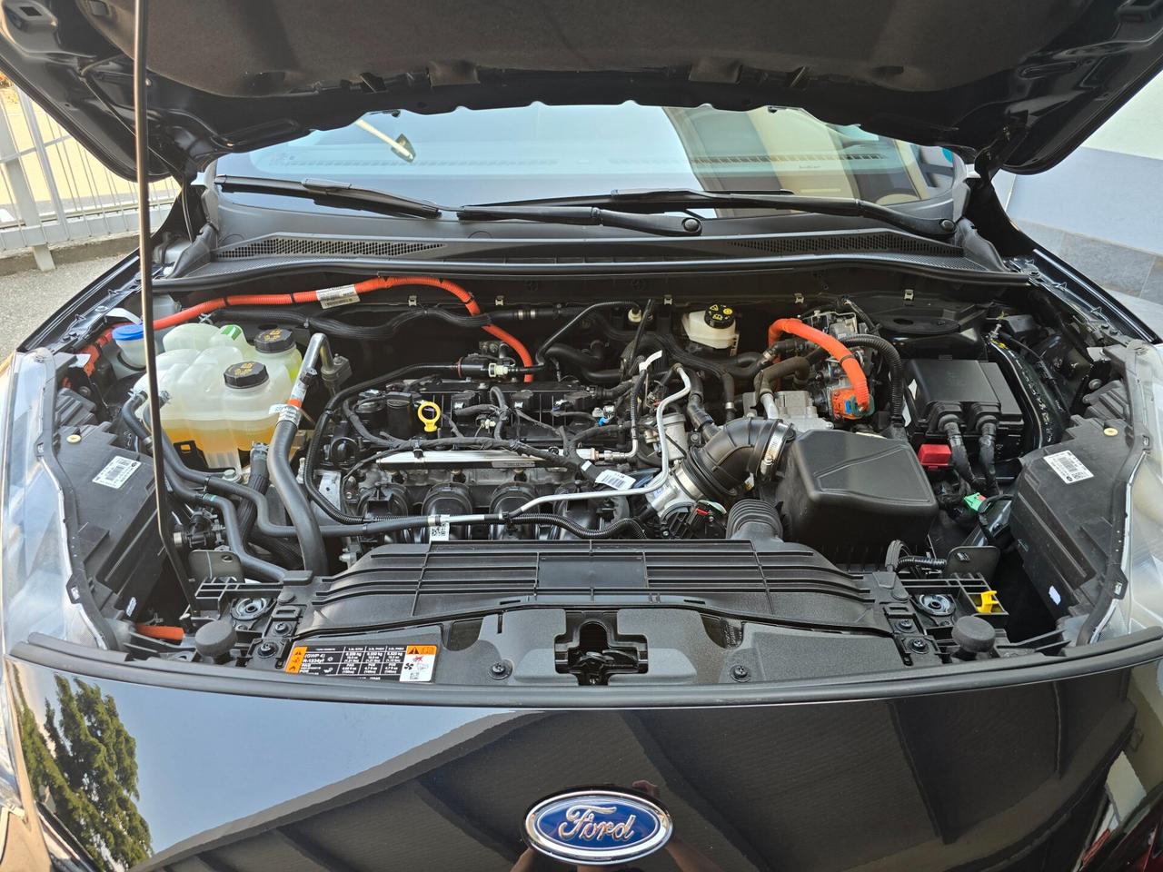 Ford Kuga 2.5 Full Hybrid 190 CV CVT 2WD ST-Line