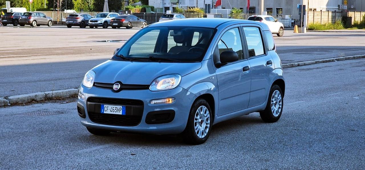 Fiat PANDA 1.0 FireFly 70cv S&S Hybrid