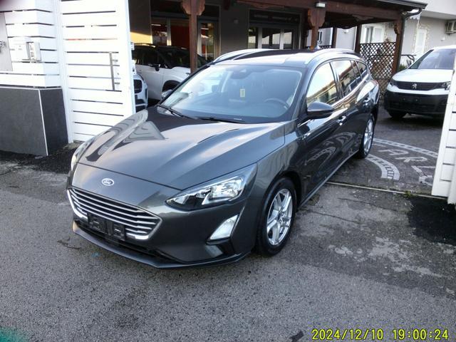 FORD Focus 1.5 EcoBlue 120 CV automatico SW Business Co-Pilot