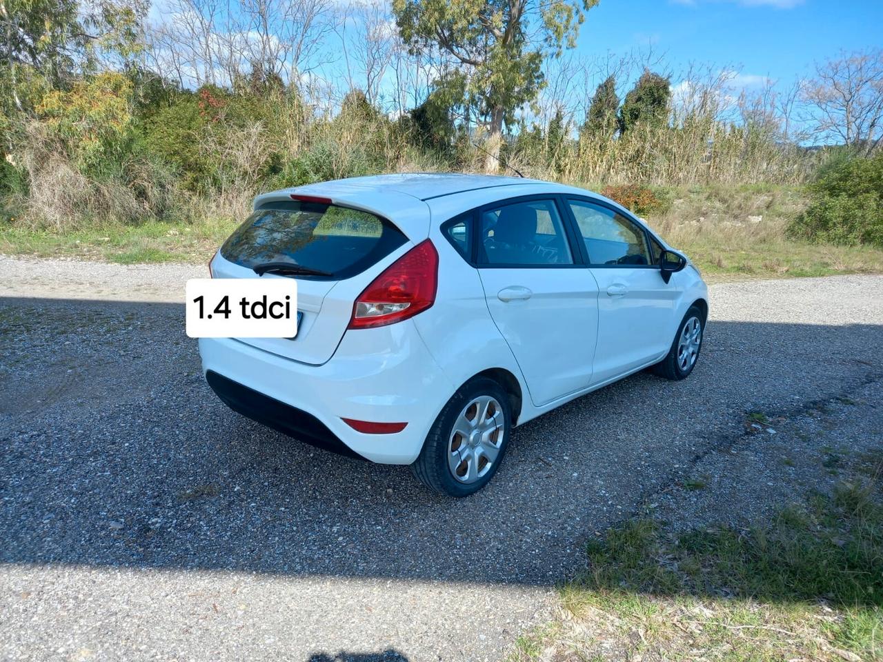 Ford Fiesta 1.4 TDCi 70CV 5 porte Titanium