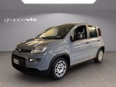 FIAT Panda firefly hybrid del 2022