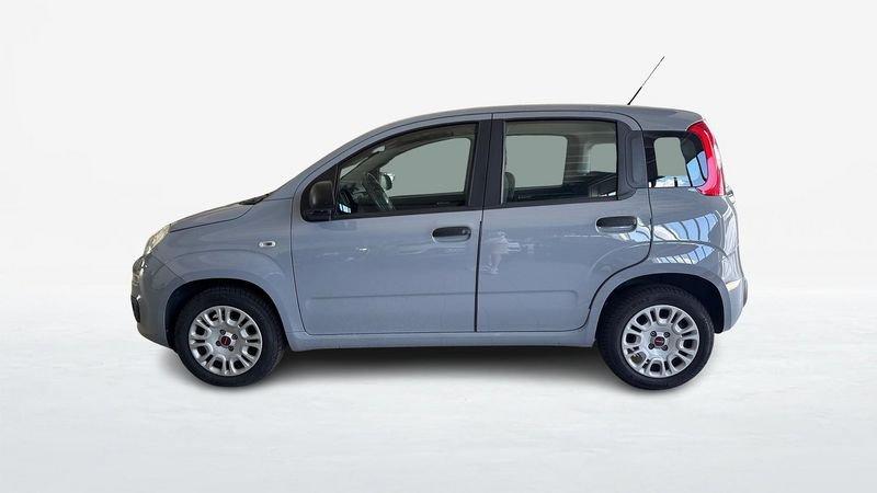 FIAT Panda III 2016 1.2 69cv Easy S&S my19