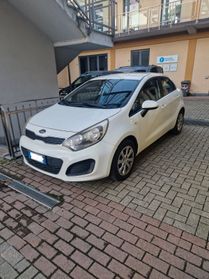 Kia Rio 1.1 CRDi WGT 5p. LX 142 126 KM TAGLIADATI