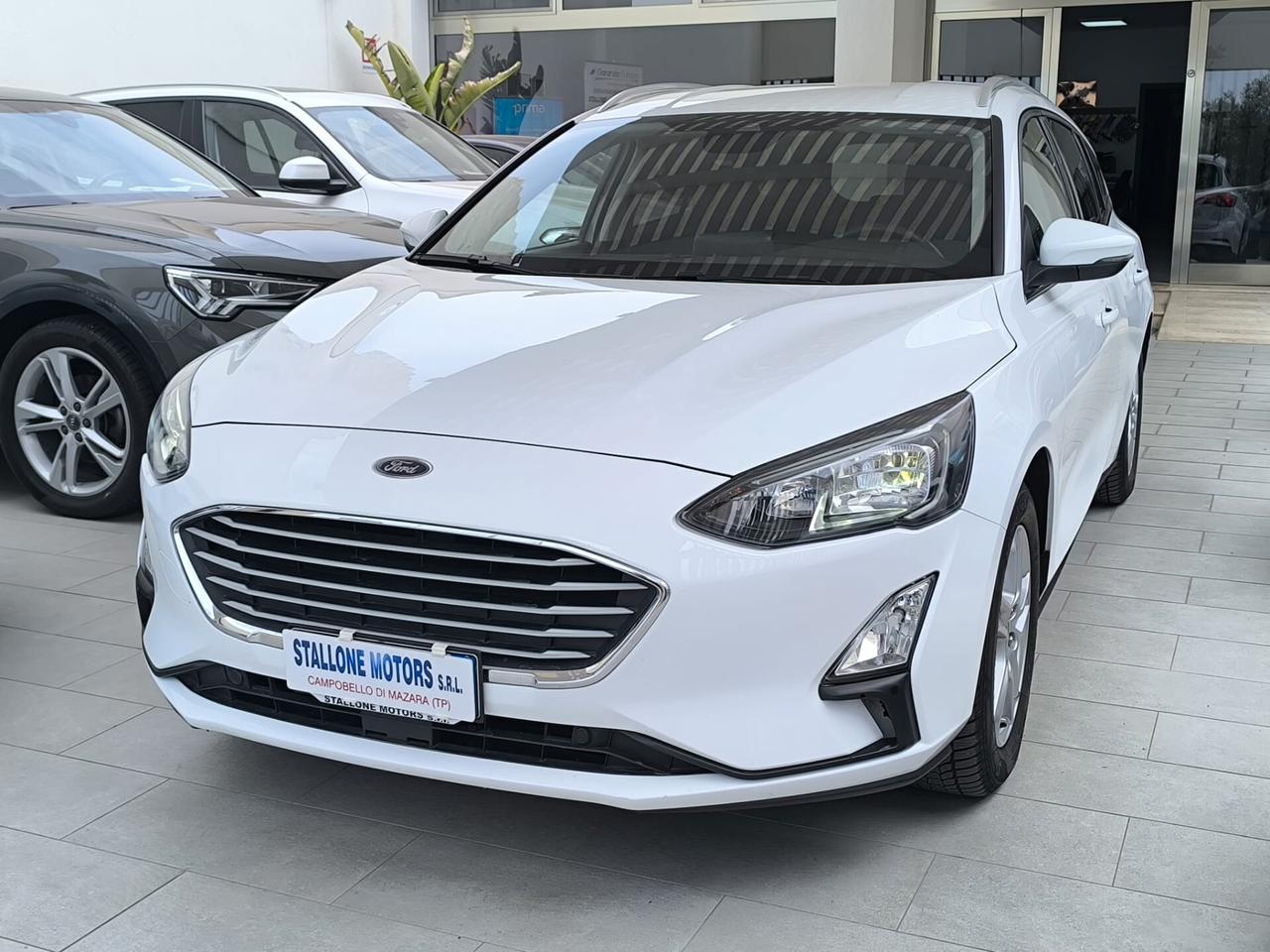 Ford Focus 1.5 EcoBlue 120 CV SW Business 2021