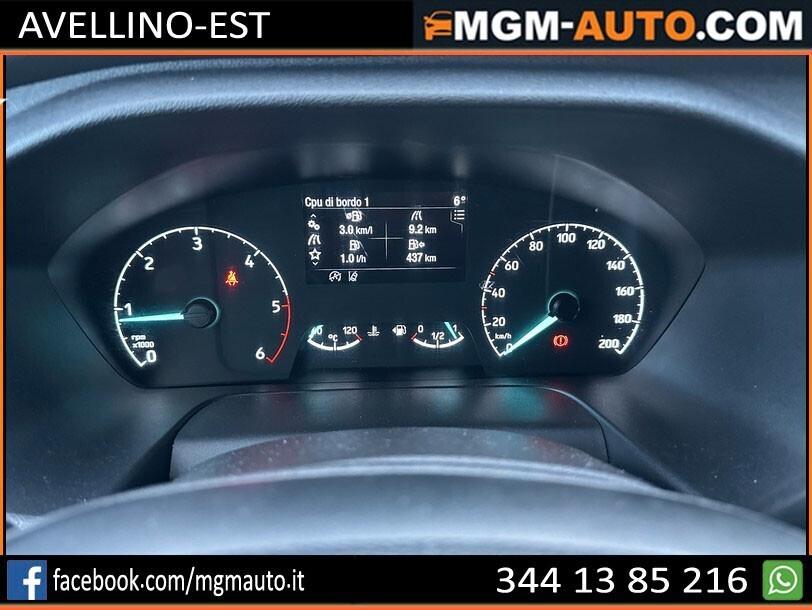 Ford Tourneo Custom 320 2.0 185CV Shuttle 9 posti