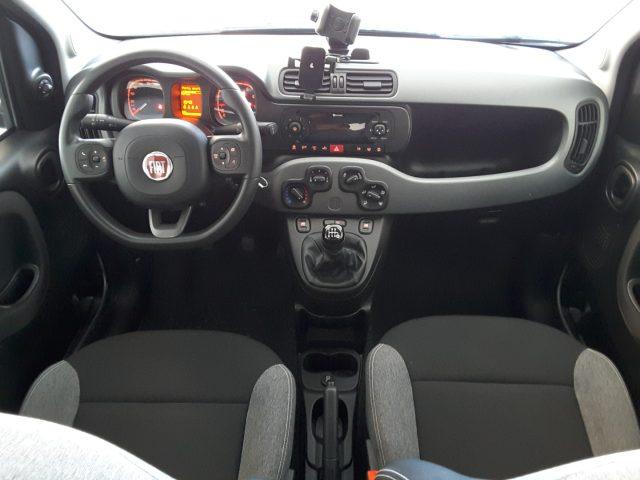 FIAT Panda 1.0 FireFly 70cv Hybrid *solo 20.000 Km*