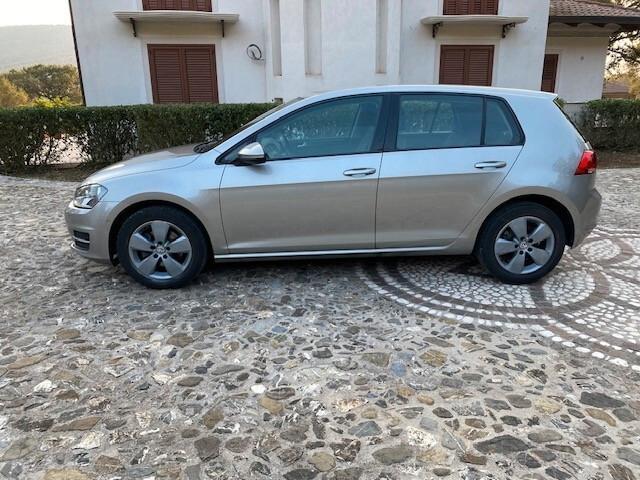 Volkswagen Golf 1.6 TDI 5p. Highline BlueMotion Technology