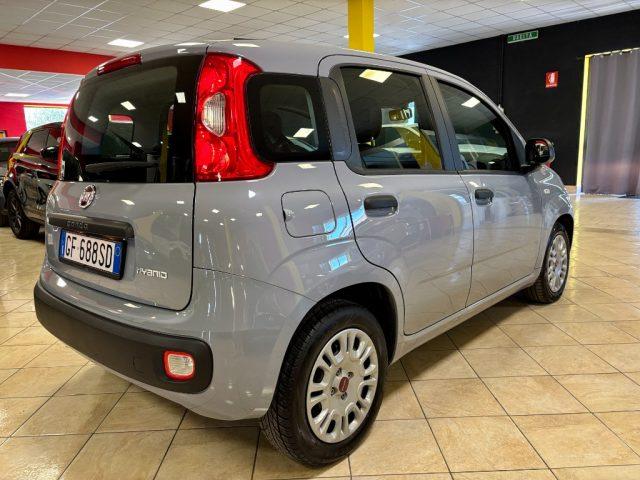 FIAT Panda 1.0 FireFly S&S Hybrid NO OBBLIGO FINANZIAMENTO