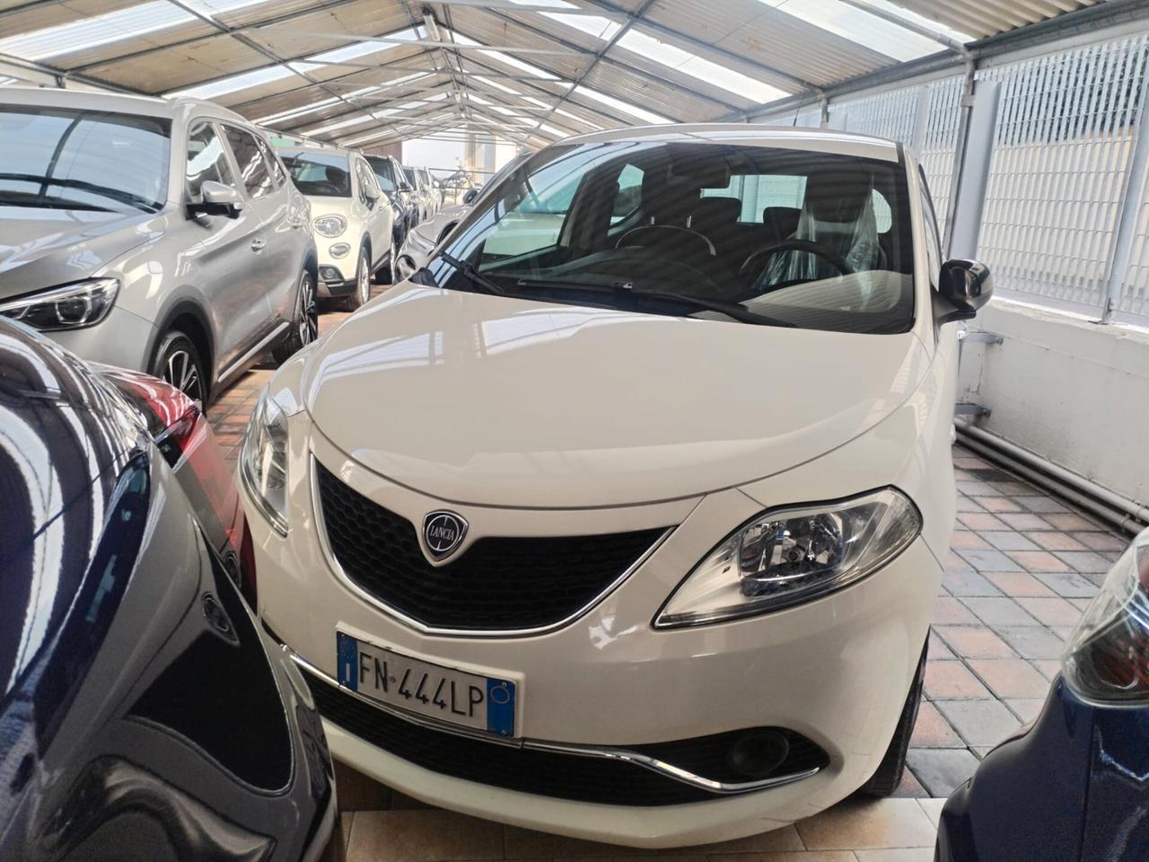 Lancia Ypsilon 1.3 MJT 16V 95 CV 5 porte S&S Platinum