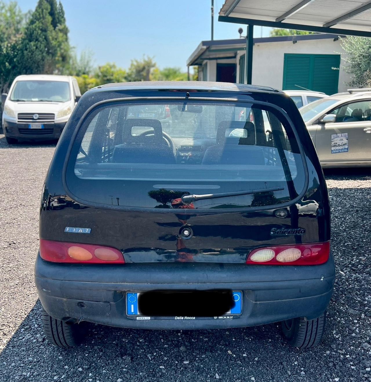 Fiat Seicento 900i cat Young