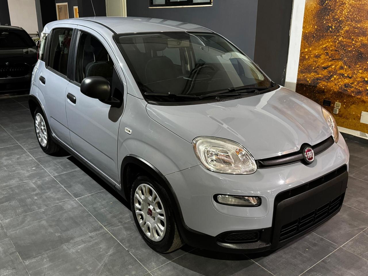 Fiat Panda 1.0 FireFly S&S Hybrid 70cv KM 20'277