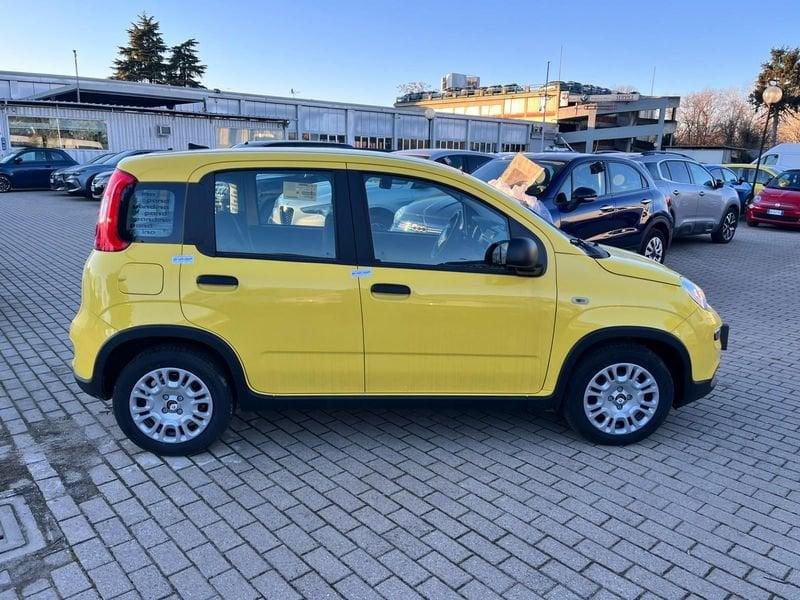 FIAT Panda 1.0 FireFly S&S Hybrid Pandina