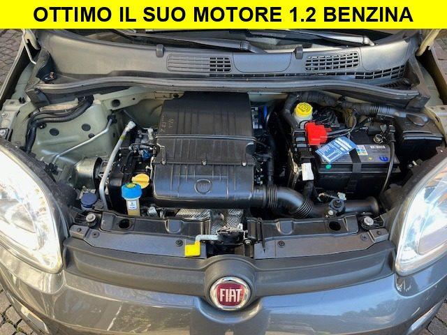 FIAT Panda 1.2 Benzina Neopatentati