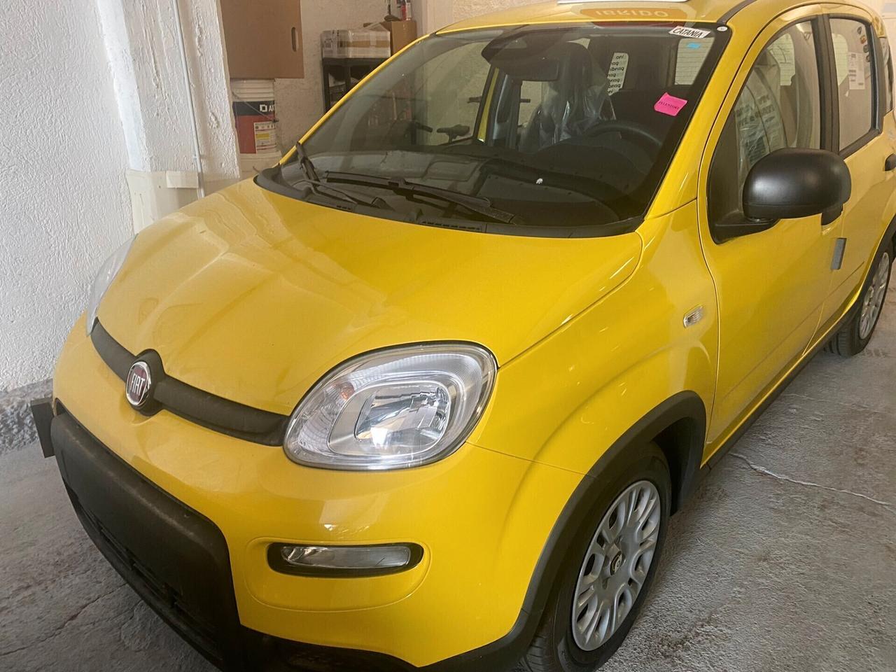 Fiat Panda 1.0 FireFly S&S Hybrid Pop
