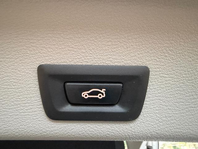 BMW X4 xDrive20d Business Advantage (NESSUN VINCOLO)