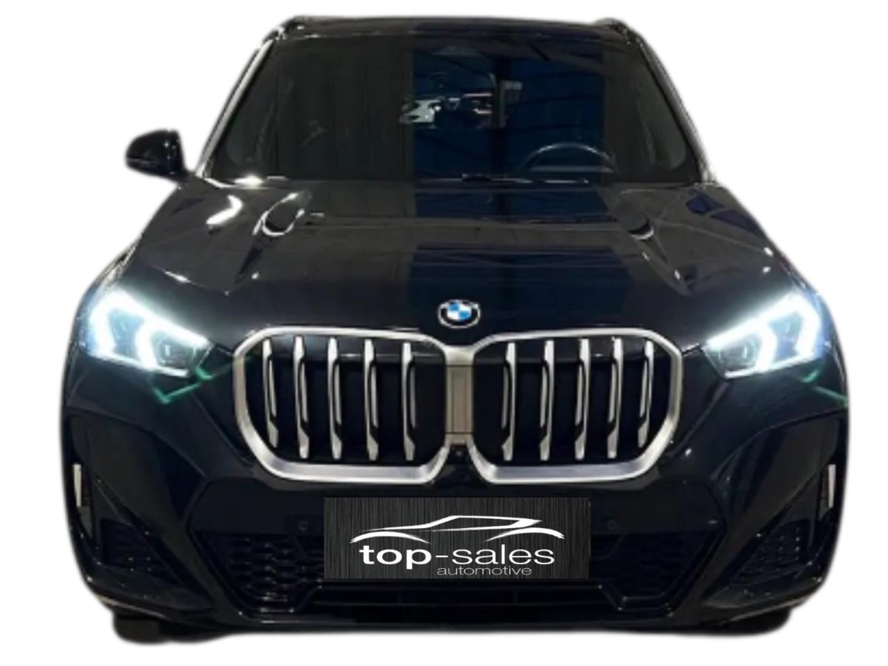 Bmw X1 sDrive 20i Msport Perfetta
