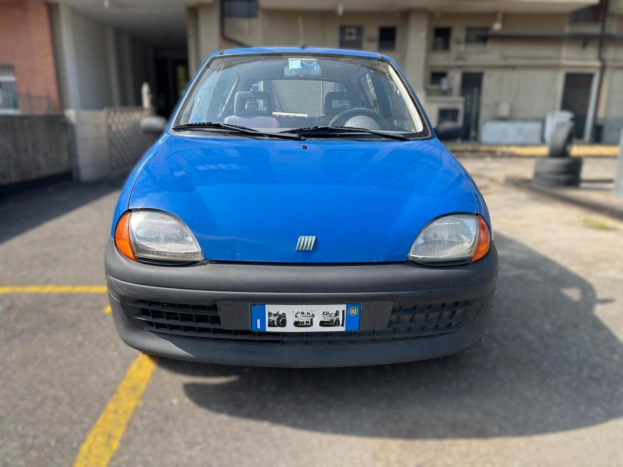 Fiat Seicento 900i cat Young