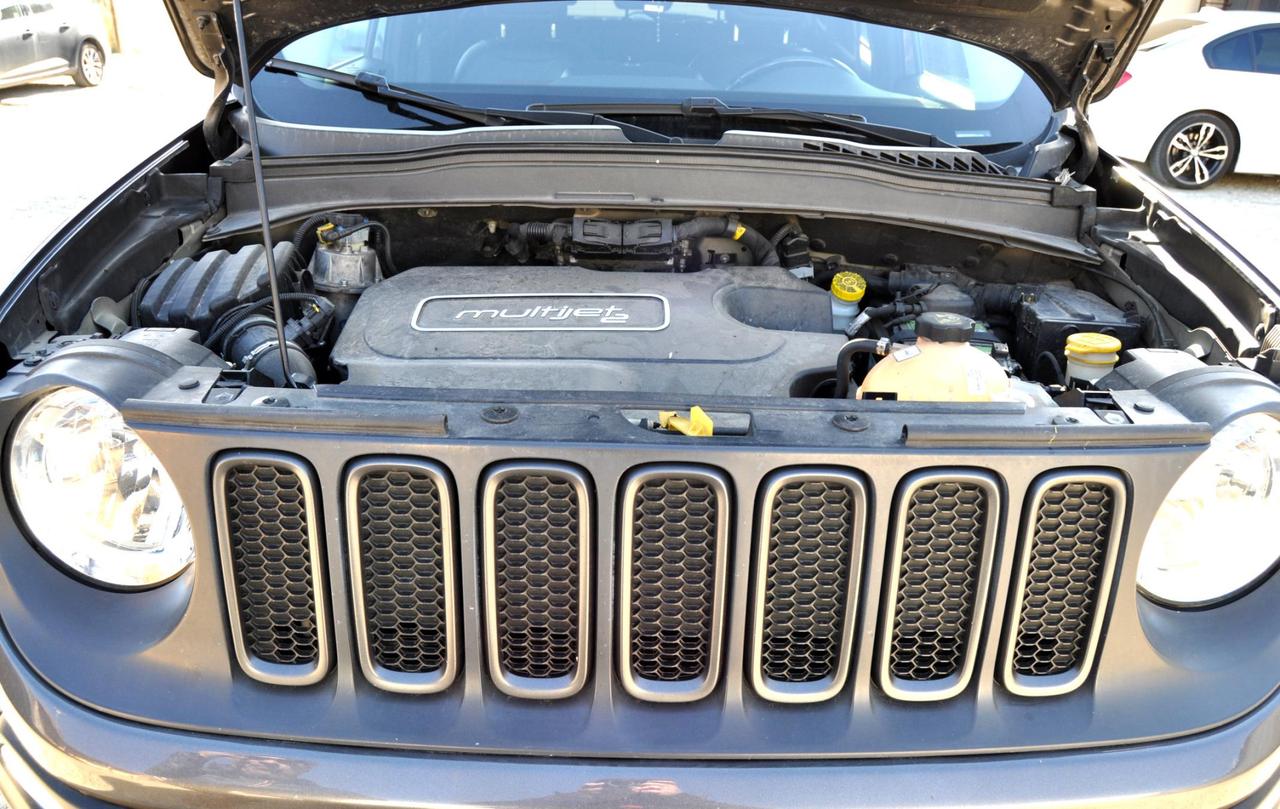 Jeep Renegade 2.0 Mjt 170CV 4WD Trailhawk