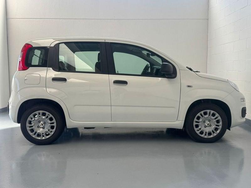 FIAT Panda Panda 1.0 FireFly S&S Hybrid Icon